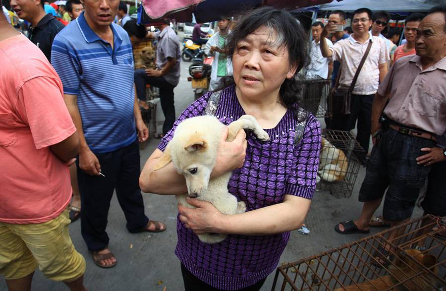 Yulin dog meat vendors make money off activists