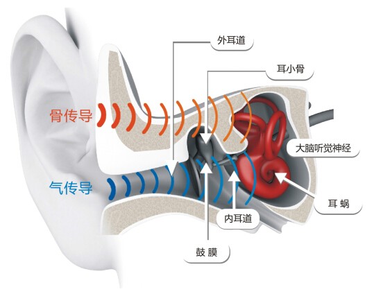 骨傳導相關漲停背后，關于AfterShokz這頭深海藍鯨