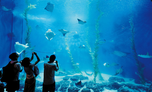 Shanghai Ocean Aquarium