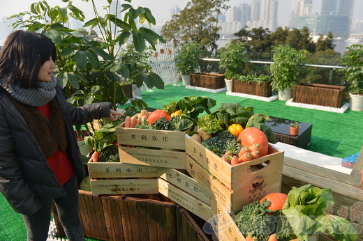 Roof garden making its debut in Lujiazui