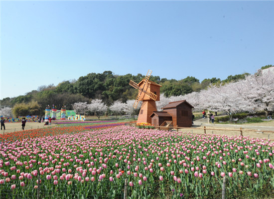 Suzhou—one of best in China to view seasonal colors