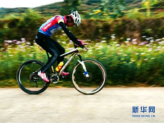 Mountain bikers race through lush landscape