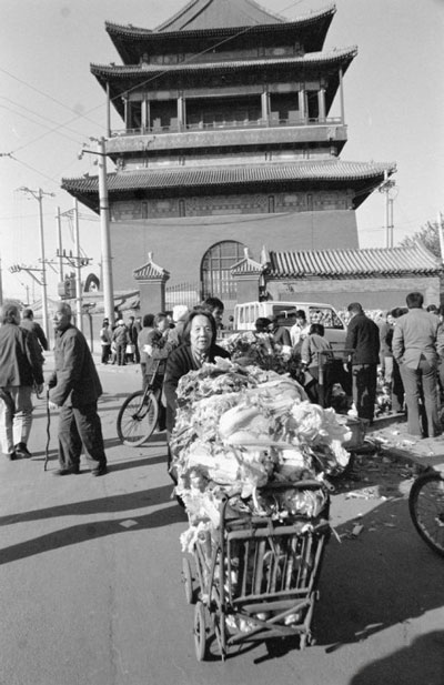 A farewell to Chinese cabbages, turnips, and spring onions