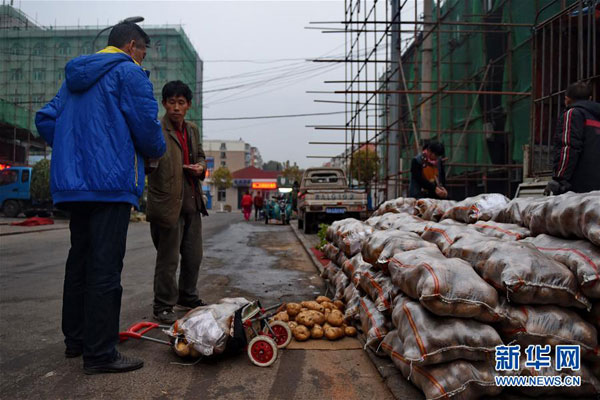 A farewell to Chinese cabbages, turnips, and spring onions