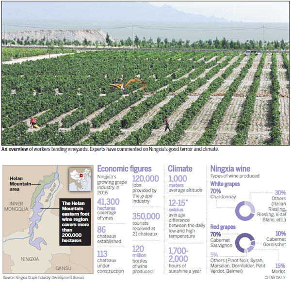 Ningxia's wine industry goes global