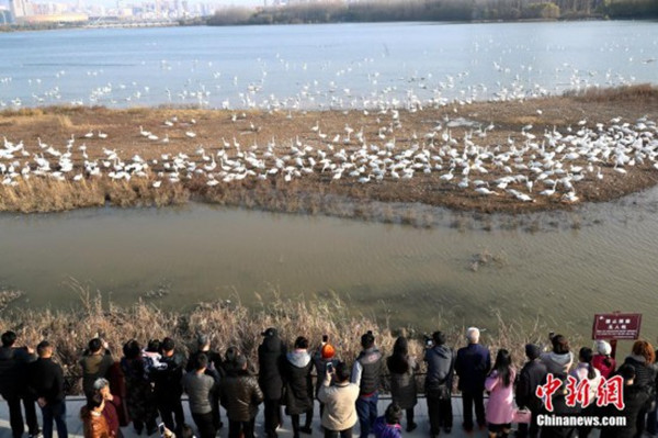 Wetland park releases new policies on visiting