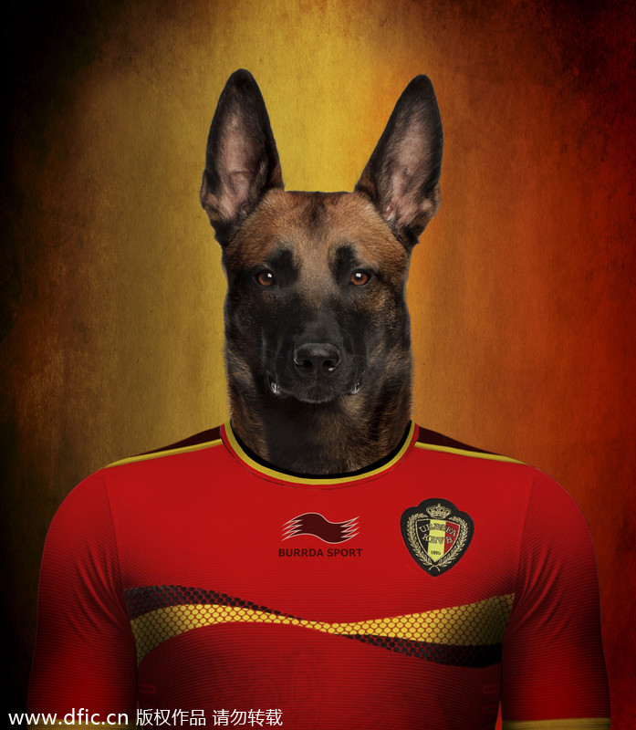 Dogs in national football team jerseys