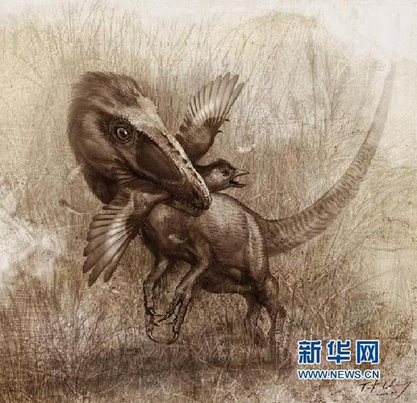 科學(xué)家首次揭秘帶羽毛恐龍的“最后晚餐”(圖)