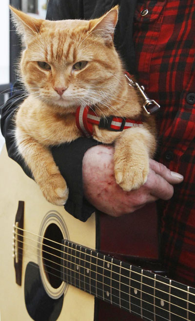 'A Street Cat Named Bob'