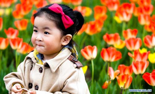 Tulips in full blossom in Changchun, NE China