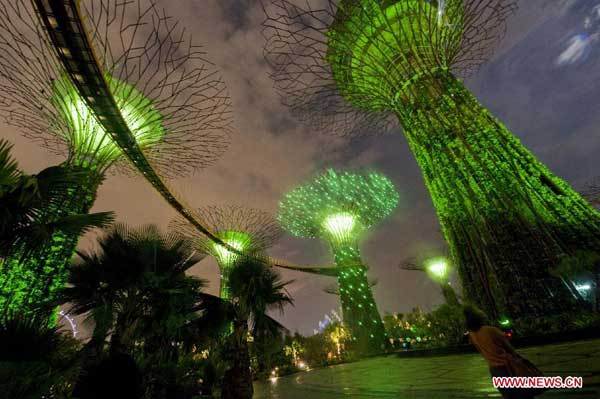 Light and sound show brightens Supertrees Grove in Singapore