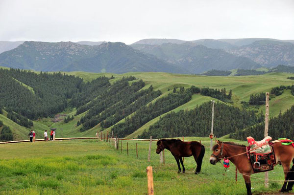 Gansu's Sunan boasts diversified scenic view