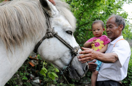 Horse caravan, a scene soon to disappear