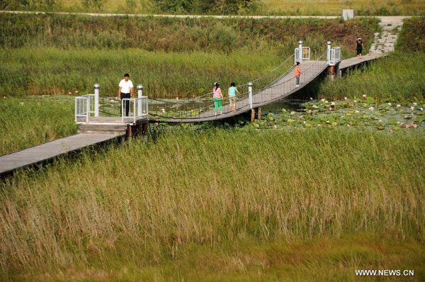 Dulu River nature reserve in China