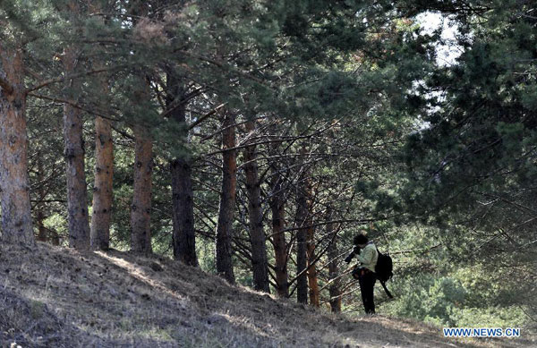 Picturesque scenery of Hulun Buir grassland