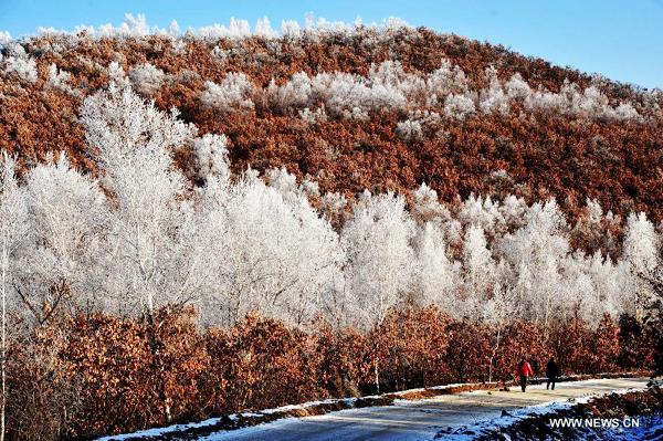 Rime scenery in NE China's Heilongjiang