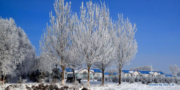 Beautiful rime scenery in NE China's Heilongjiang