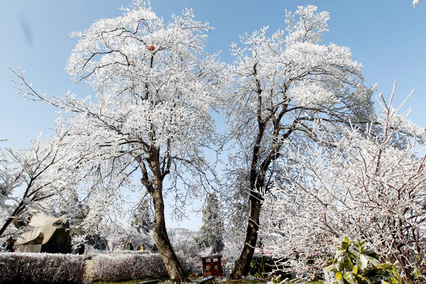 Gorgeous rime scenery in Lushan mountain