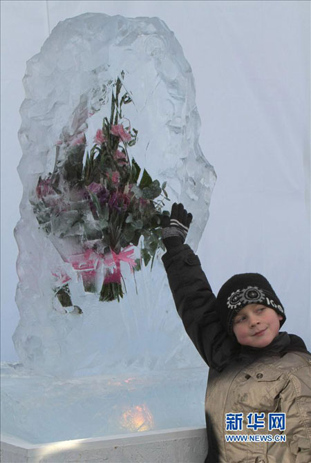 Scenery of ice flowers in Ukraine