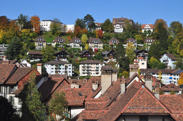 Bear moment in Bern