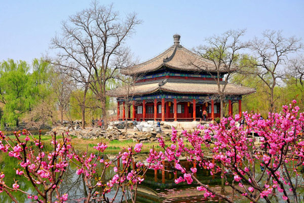 Prime of Spring at the Old Summer Palace