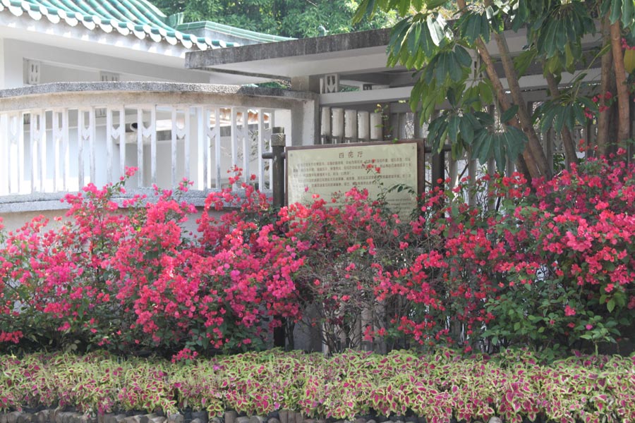 Trip to Xiamen Botanical Garden