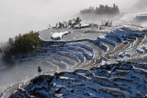 Terraced fields after snowfall