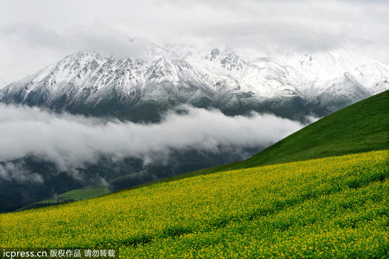 Beautiful sights to be explored in Northwest China