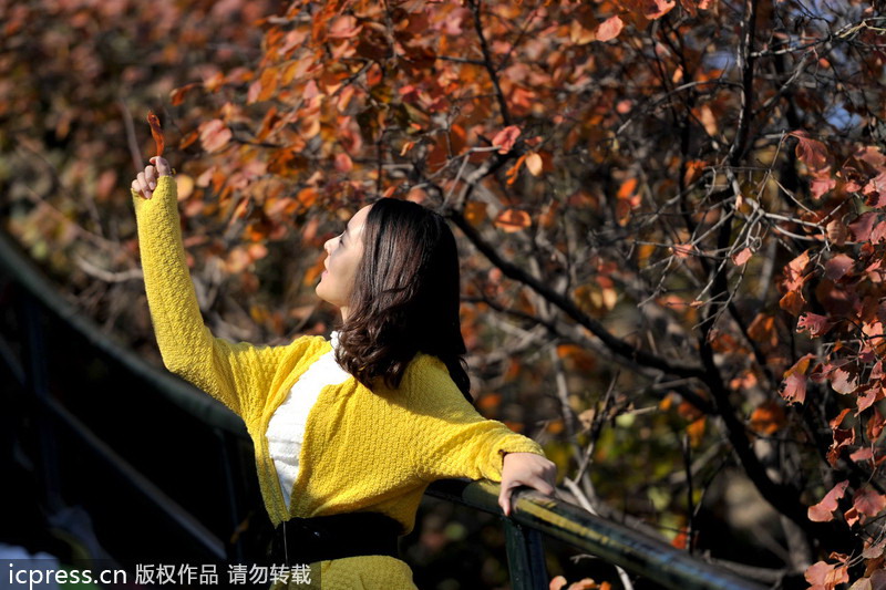 Autumn colors around China