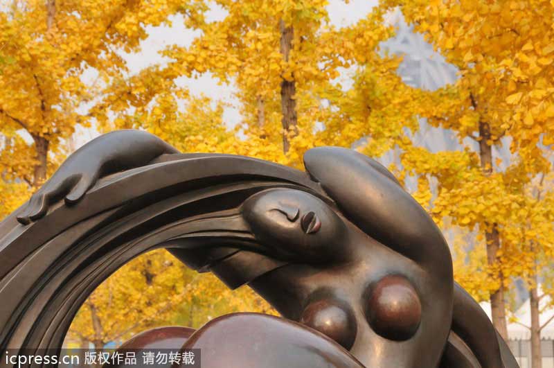 Golden ginkgo lightens Beijing up