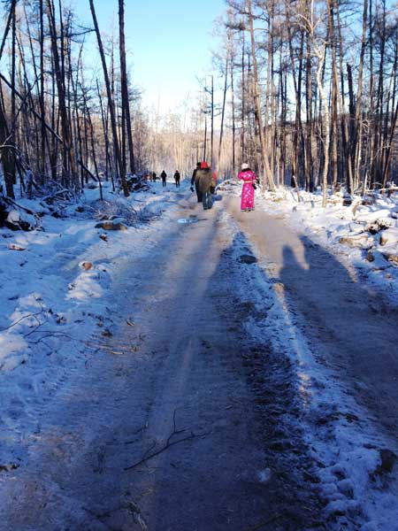 Moerdaoga National Forest Park, a pure white wonderland