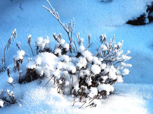 Moerdaoga National Forest Park, a pure white wonderland