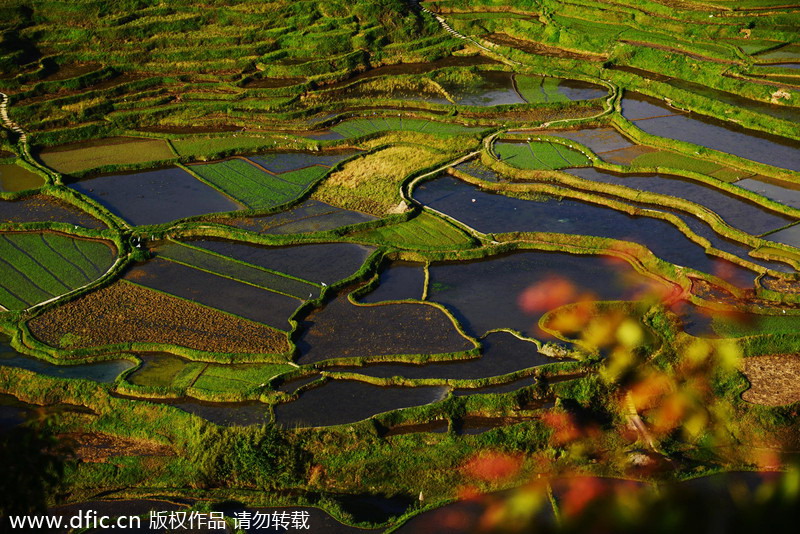 Top 10 most beautiful terraces in China