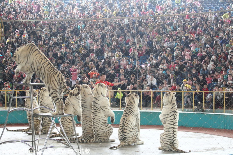 Qingming holiday embraces tourist boom