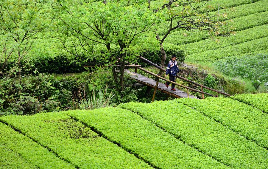 Maliuxi, land of idyllic beauty