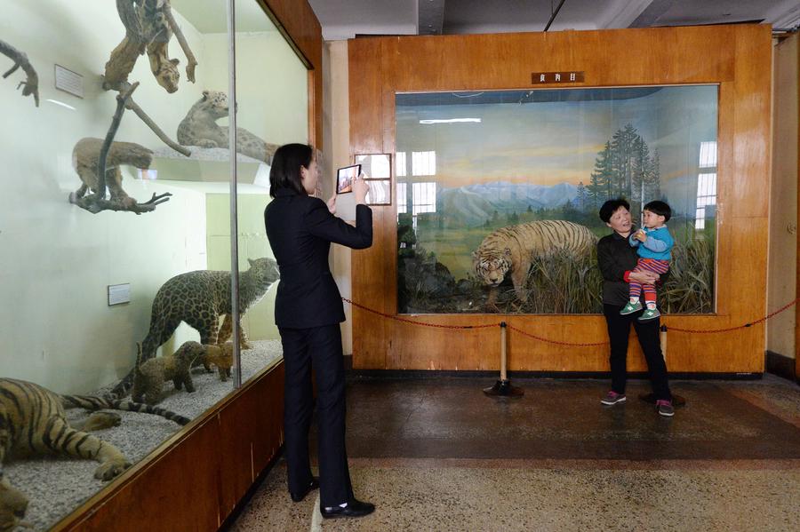 Shanghai locals bid farewell to childhood memories