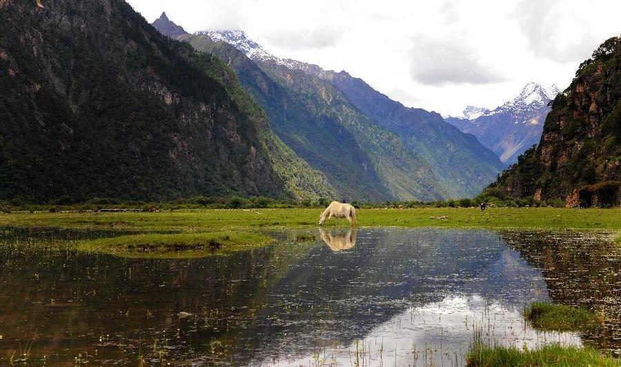 Scenery of Congo village in Tibet