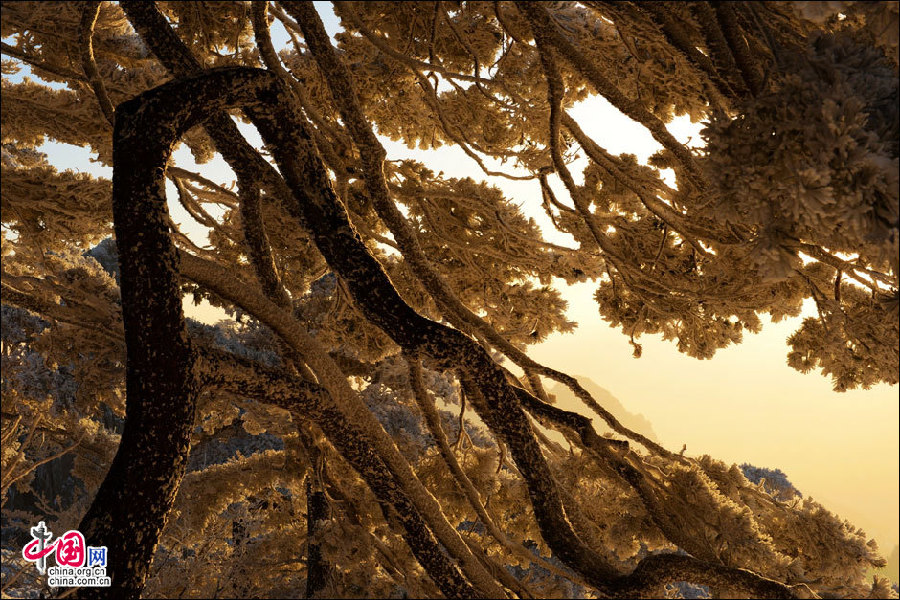 Mount Huangshan, a fairyland in winter