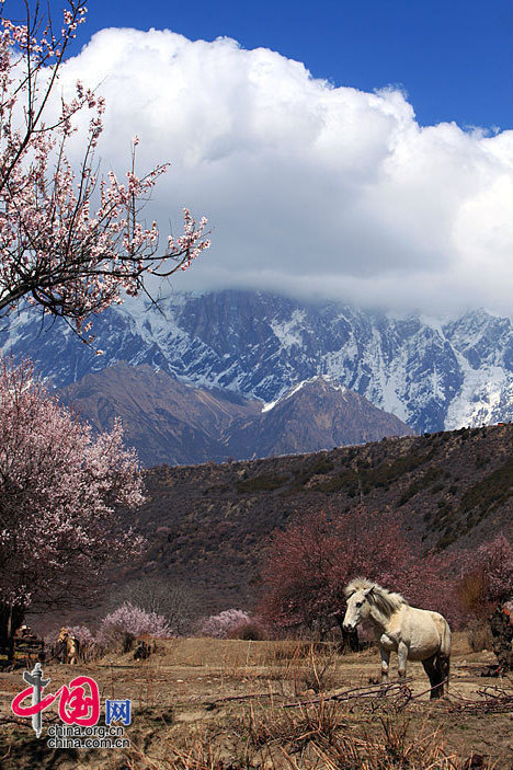 Yarlung Zangbo Grand Canyon in Tibet