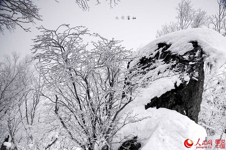 Beautiful scenery of China Snow Valley