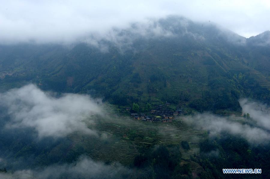 Scenery of terraced fields in China's Guizhou