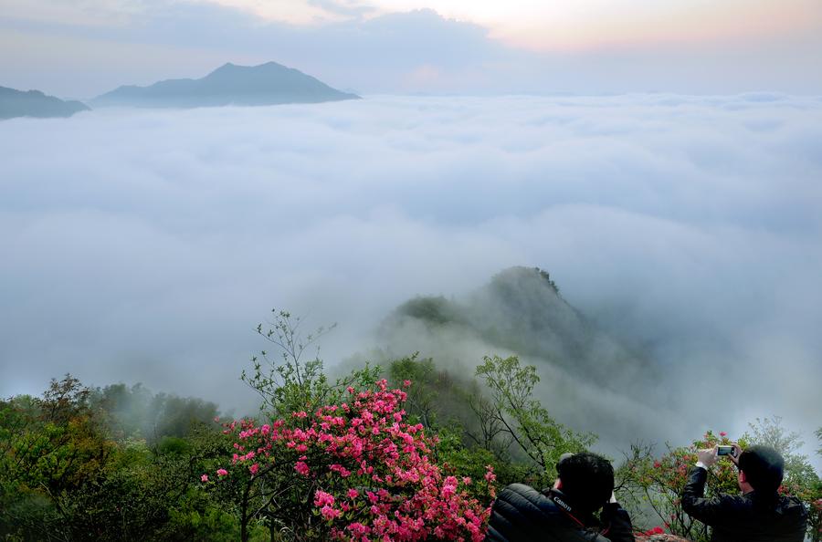 Incredible scenery of cloud-shrouded Wuji Mountain in China's Anhui