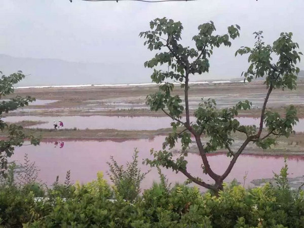 N China's ancient salt lake in rosy hue