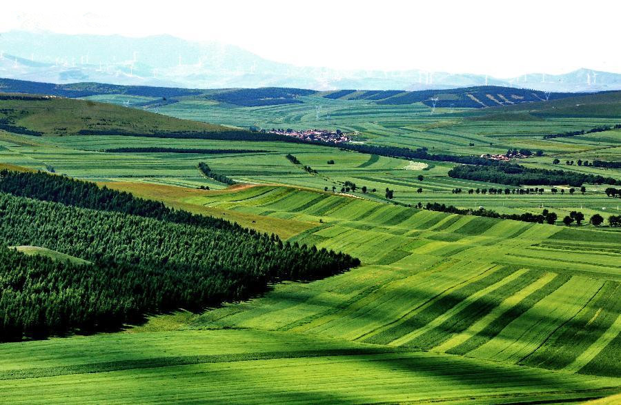 Scenery of fields in Hebei's Zhangjiakou