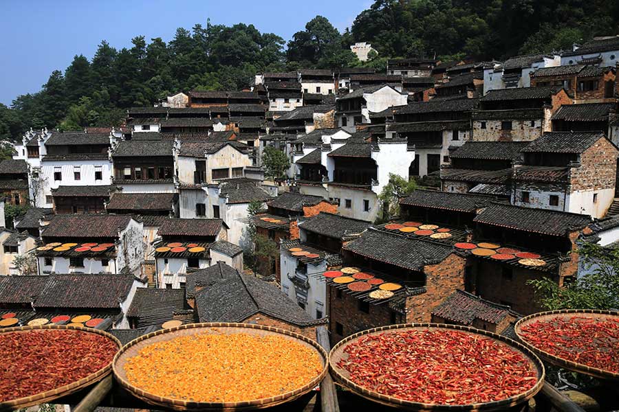 Harvested crops help present a unique autumn scene in Wuyuan ancient town