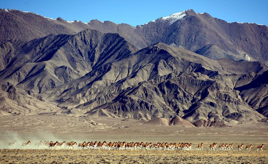 Scenery at Altun Mountains Nature Reserve in Xinjiang