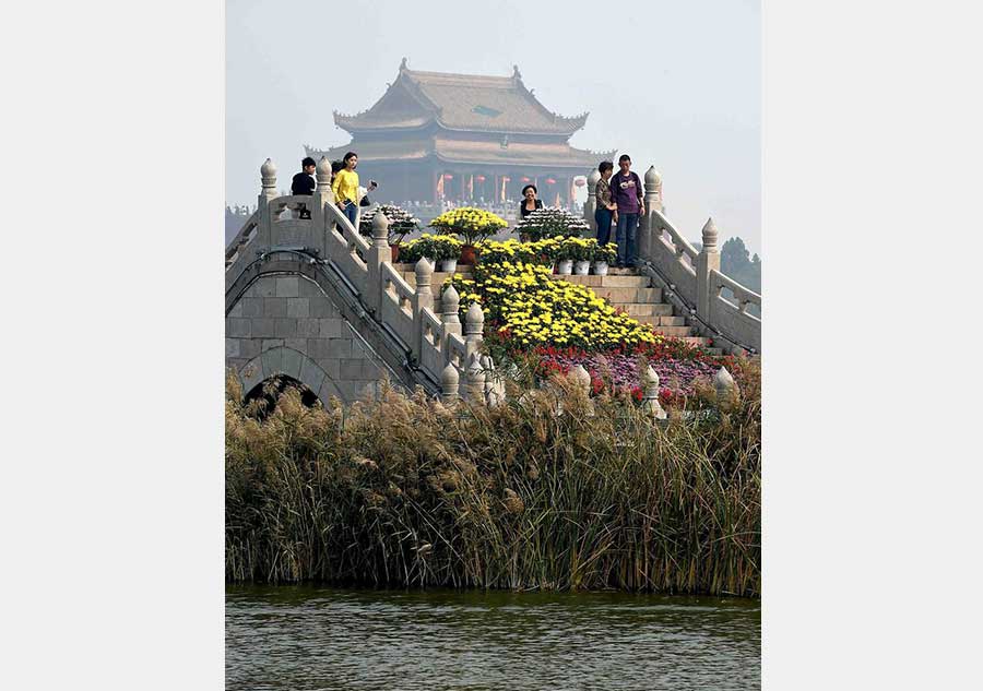 Autumn Chrysanthemums brighten ancient city