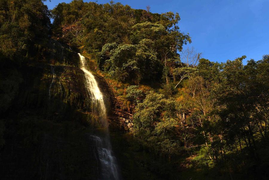 Winter scenery of the Ailao and Wuliang Mountain Nature Reserve