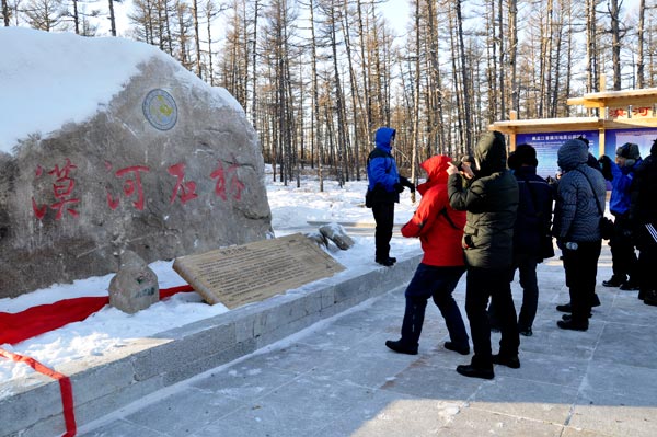 Northernmost geological park opens in Great Khingan