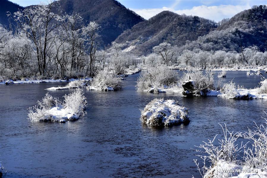 Snow scenery of Dajiuhu National Wetland Park in Hubei